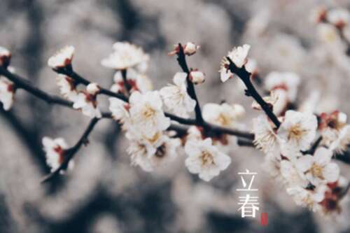 lichun谈论这句话