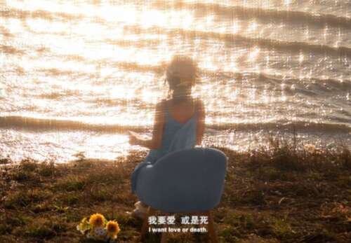 情人节句子美丽短暂的句子1