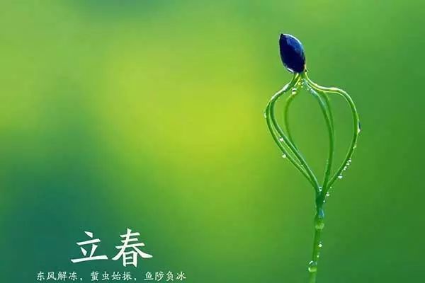 李春的美丽句子1