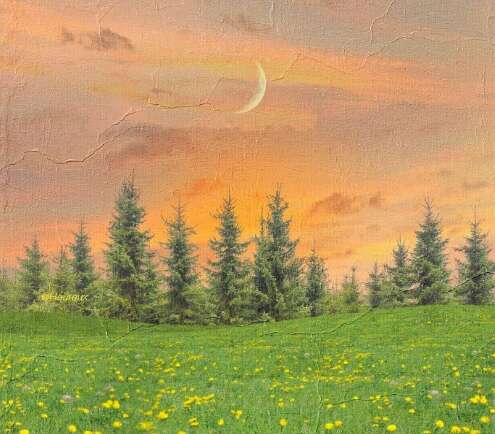 20.我现在唯一无法起床的是筷子，它不会进来。