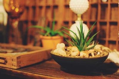 15.如果要替换，则必须不同。