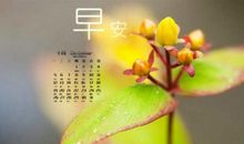 微信朋友圈简短句子