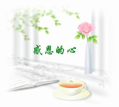 社会珍惜和感激1