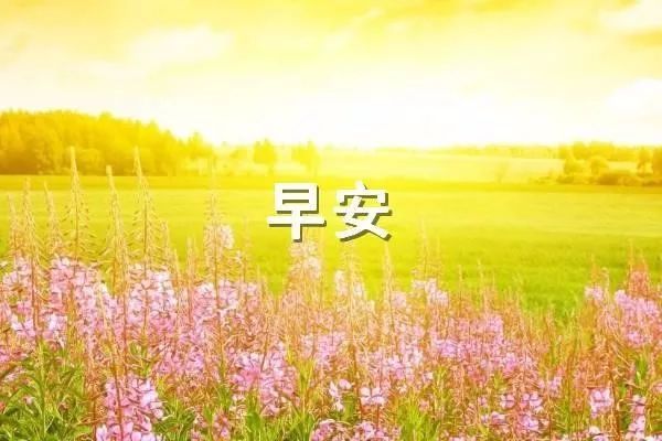 32,我相信总会有温暖,以及生活的希望,就像你生命中的奇迹一样,照亮我的生活,早上好!