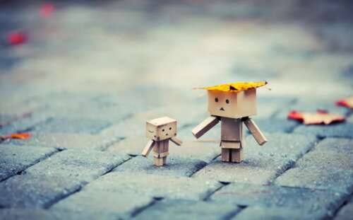 关于凄凉的爱情判决