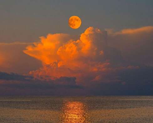 15，无辜，粉尘世界旅行，请取出鼓励的勇气。