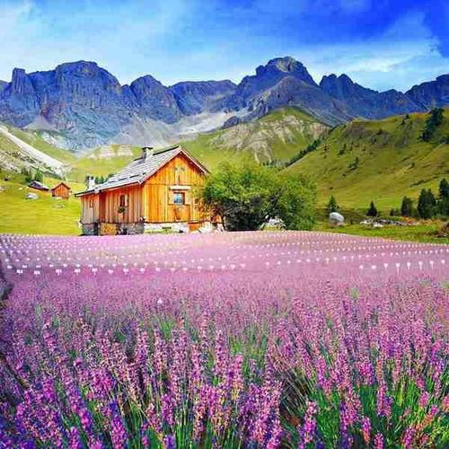 15.佛陀说：每个人都看到了一个安排，一切都是边缘。原产地被摧毁，边缘分散，一切都是上帝。