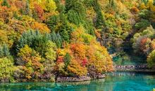 有关友情的通俗易懂句子