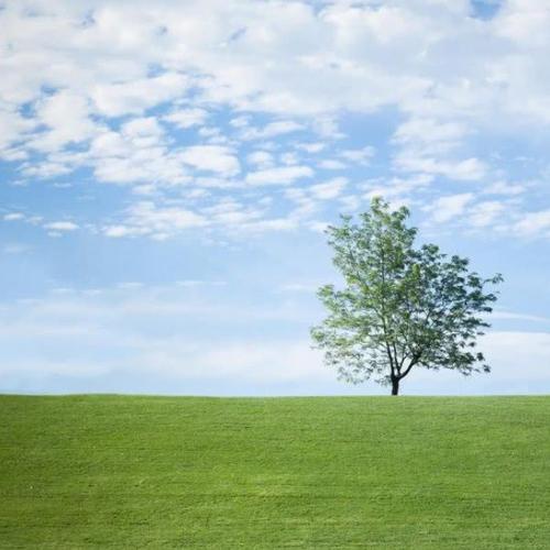 15.生活在这里，朋友是一种祝福。 - 德罗斯泰