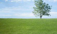 催泪的友情的句子