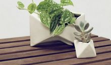 情人节一个人过没对象的句子