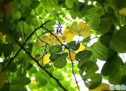 邱秋发朋友一个好句子