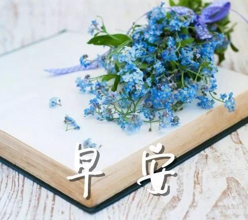 最美丽的朋友圈句