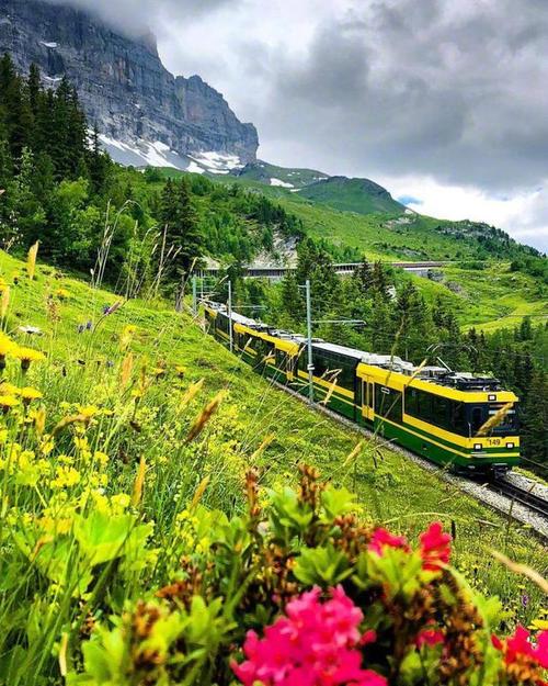 看看红色的尘埃