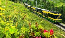 看破红尘的佛经