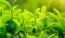 2021最火微信短句