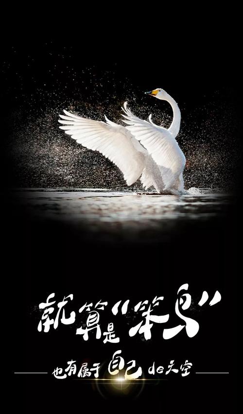 写一个句子开始一个事业