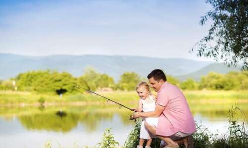Sun家用这句话的照片