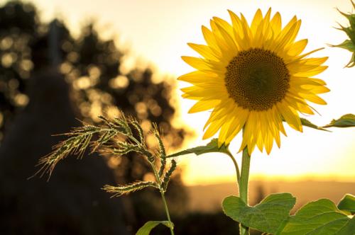 2021新年励志积极能量