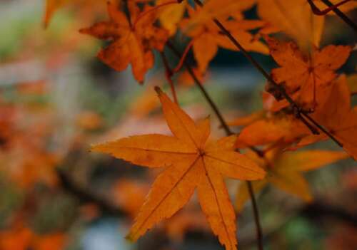 30,不要打扮B,加载B被鸣叫〜