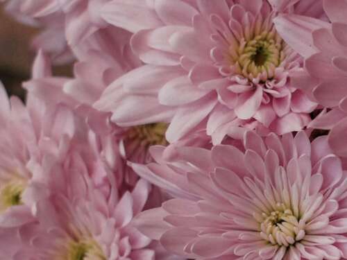 情人节,天然气,谈到1