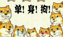 情人节单身狗的朋友圈配文