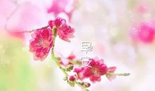 早安暖心话适合发朋友圈