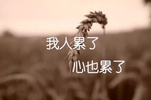 感觉生活并不容易句子1