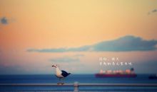 创业团队口号八字