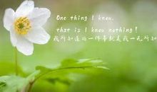 大学创业团队口号