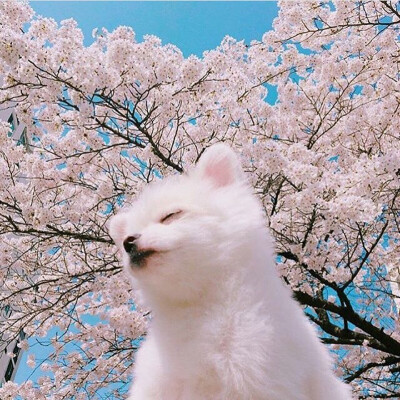 珍惜友谊和美丽的判决