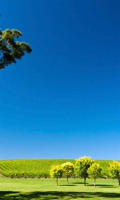 15，忠诚，做我们自己的，价值分享。