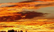 车间团队口号8字押韵