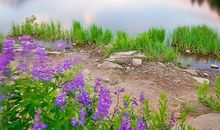 飞跃团队口号8字押韵