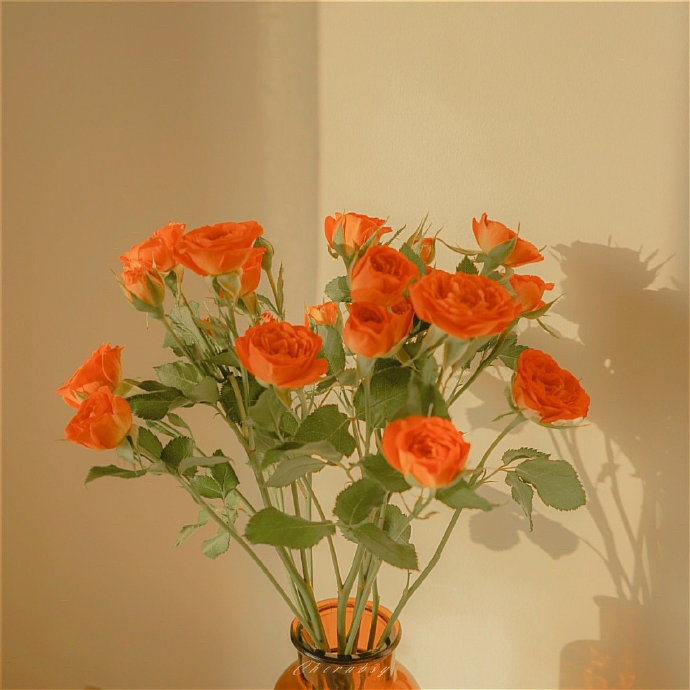 2，谢谢你的担忧，谢谢你的帮助，谢谢你对我的一切......请接受我最真诚的愿望：健康健康！