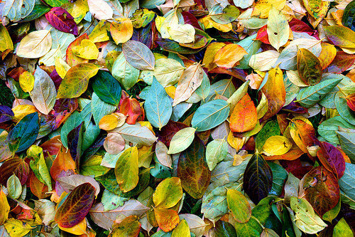 15.脱掉你累了，逃脱了一整天，忘记了琐碎的麻烦，闭上你的生活。朋友们，每天都笑，穿着一件快乐的新衣服，我希望你周末愉快，它是如此自我满足，心情就像一朵花！