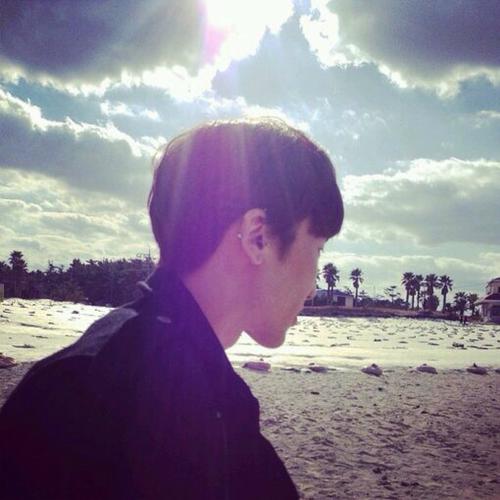 15.火灾友谊将变成灰烬。