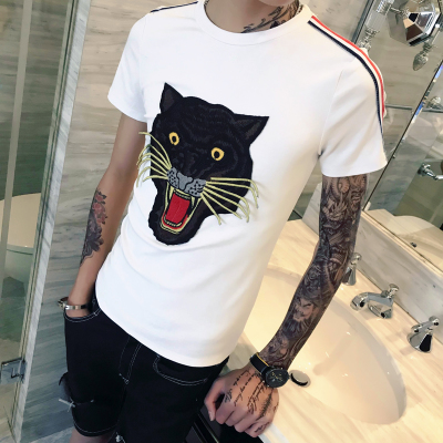 15.熟悉的伤口,协议,成为您最专业的。圆形的折磨,陪伴你,成为你独特的机库。