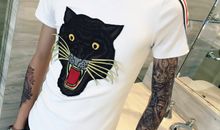 友情是我的避风港的句子