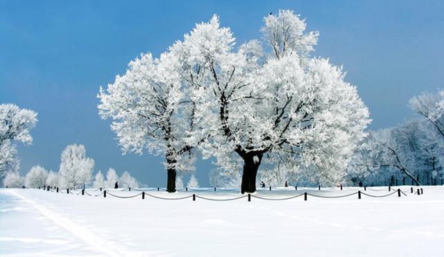 斯诺伊问候女儿的短信1