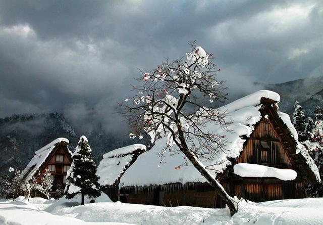 短信,问候女儿下雪