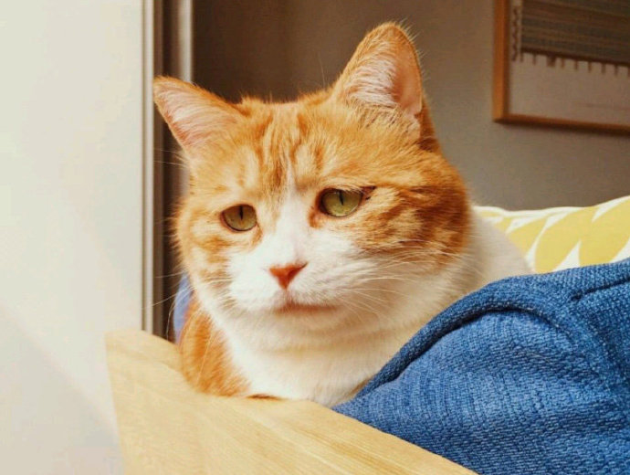 邮政学校主要文本消息问候