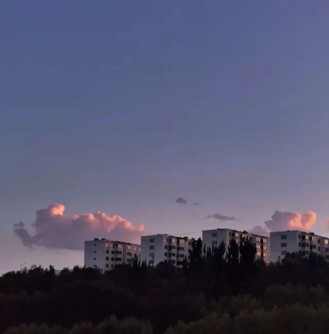 领导下，发送问候短信1