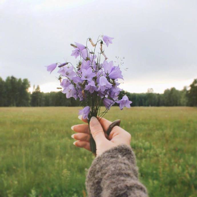 寒冷,常见的问候,客户短信