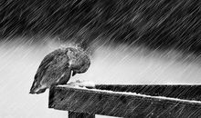 春天谁在干什么造句