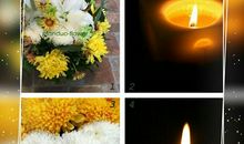 清明节悼念父母的语句