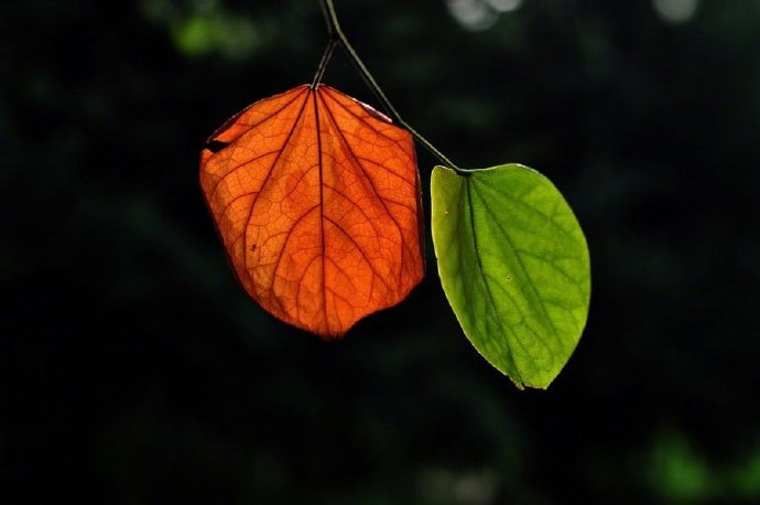 冰雪天气短信问候