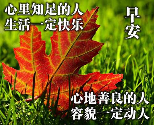 一个美丽的问候图片