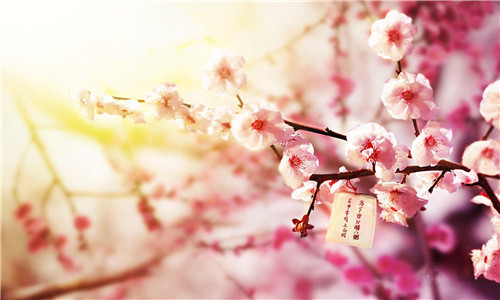 Laba节，美丽的句子短1