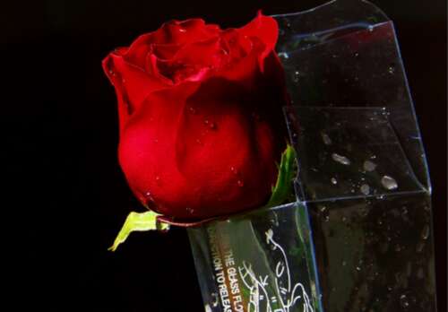 27,与情人节作为一个新的起点,“爱你没有讨论”作为指导思想,高“我爱你”伟大的横幅,练习“科学的爱情概念”,实现世界的共同幸福,你和我必须工作!